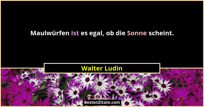 Maulwürfen ist es egal, ob die Sonne scheint.... - Walter Ludin