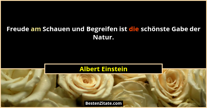 Freude am Schauen und Begreifen ist die schönste Gabe der Natur.... - Albert Einstein