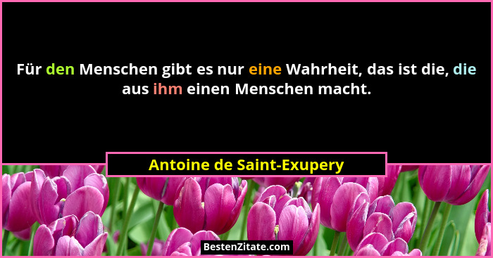 Für den Menschen gibt es nur eine Wahrheit, das ist die, die aus ihm einen Menschen macht.... - Antoine de Saint-Exupery