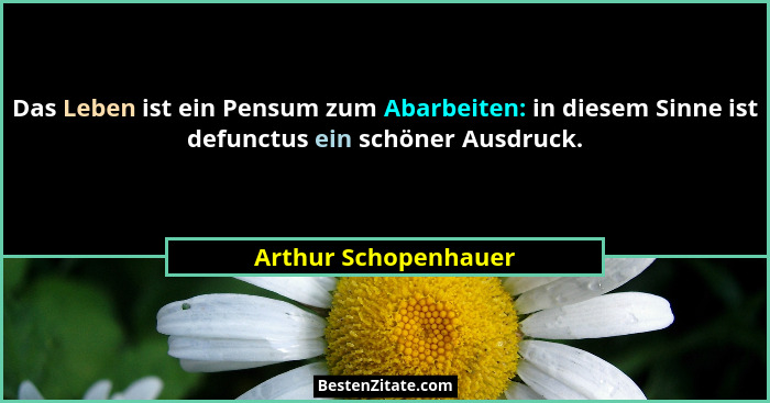 Das Leben ist ein Pensum zum Abarbeiten: in diesem Sinne ist defunctus ein schöner Ausdruck.... - Arthur Schopenhauer