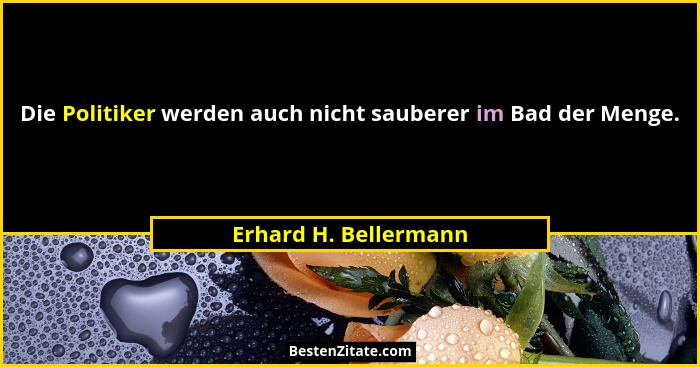 Die Politiker werden auch nicht sauberer im Bad der Menge.... - Erhard H. Bellermann