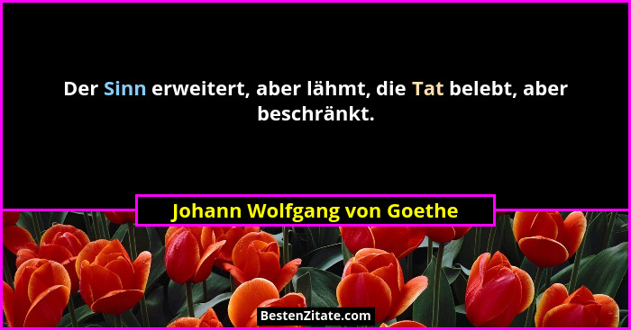 Der Sinn erweitert, aber lähmt, die Tat belebt, aber beschränkt.... - Johann Wolfgang von Goethe