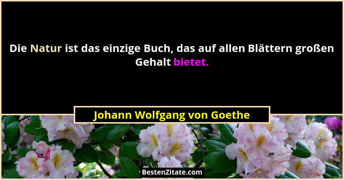 Die Natur ist das einzige Buch, das auf allen Blättern großen Gehalt bietet.... - Johann Wolfgang von Goethe