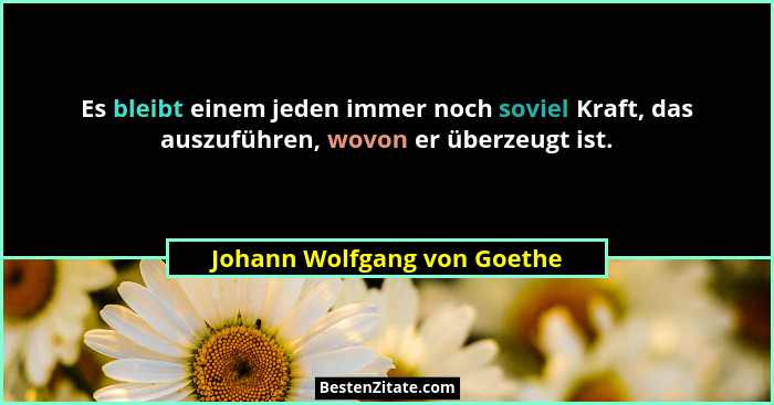 Es bleibt einem jeden immer noch soviel Kraft, das auszuführen, wovon er überzeugt ist.... - Johann Wolfgang von Goethe