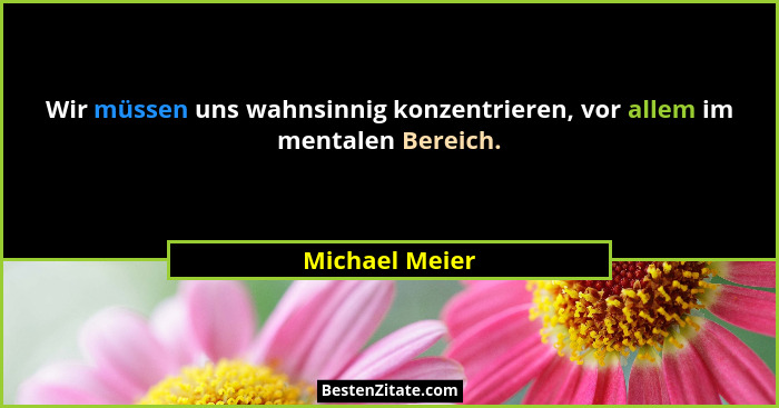 Wir müssen uns wahnsinnig konzentrieren, vor allem im mentalen Bereich.... - Michael Meier