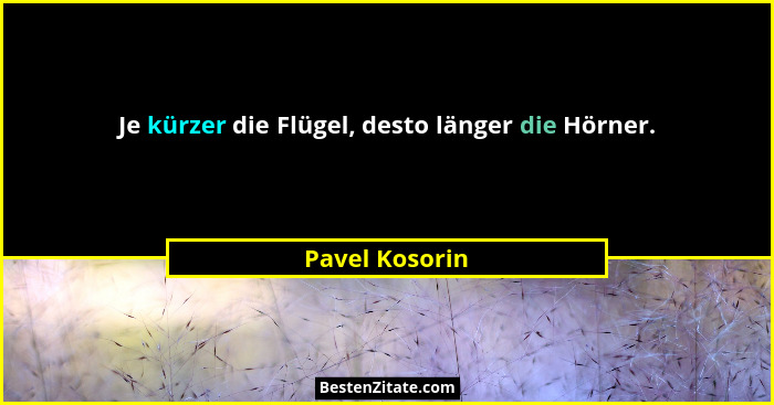 Je kürzer die Flügel, desto länger die Hörner.... - Pavel Kosorin