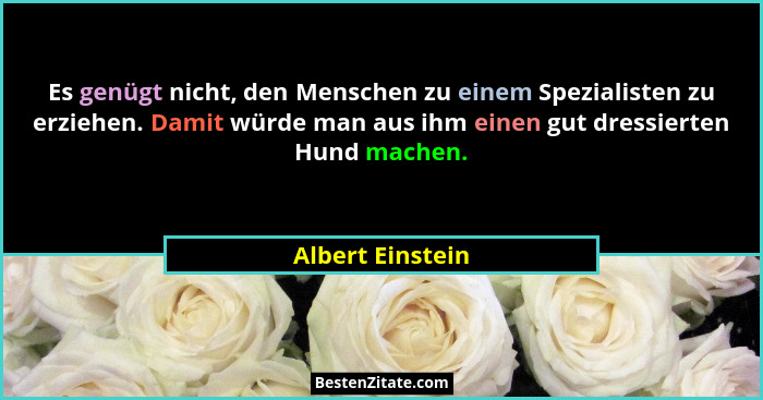Es genügt nicht, den Menschen zu einem Spezialisten zu erziehen. Damit würde man aus ihm einen gut dressierten Hund machen.... - Albert Einstein