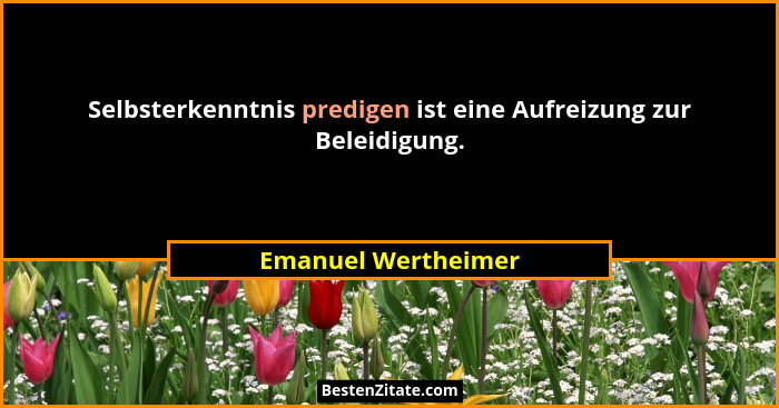 Selbsterkenntnis predigen ist eine Aufreizung zur Beleidigung.... - Emanuel Wertheimer