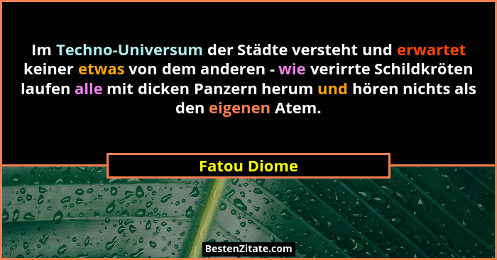Im Techno-Universum der Städte versteht und erwartet keiner etwas von dem anderen - wie verirrte Schildkröten laufen alle mit dicken Pan... - Fatou Diome