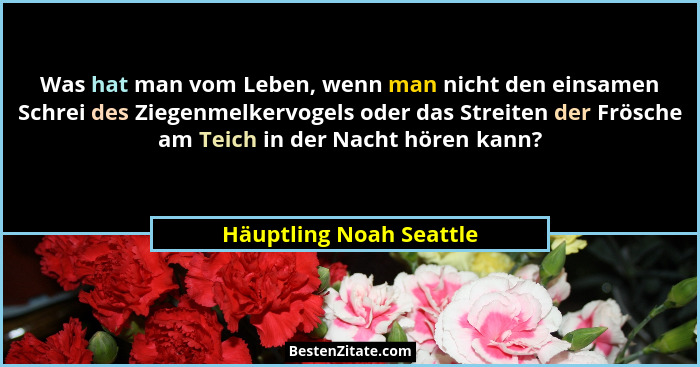 Was hat man vom Leben, wenn man nicht den einsamen Schrei des Ziegenmelkervogels oder das Streiten der Frösche am Teich in de... - Häuptling Noah Seattle