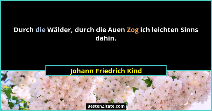 Durch die Wälder, durch die Auen Zog ich leichten Sinns dahin.... - Johann Friedrich Kind