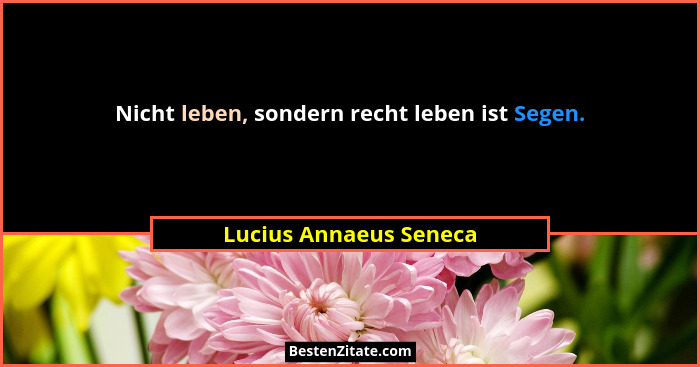 Nicht leben, sondern recht leben ist Segen.... - Lucius Annaeus Seneca