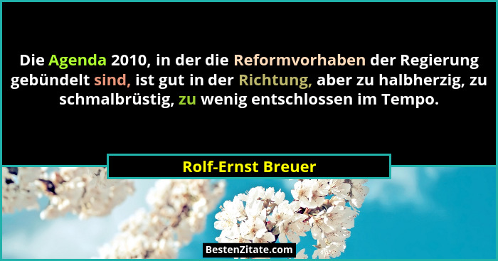 Die Agenda 2010, in der die Reformvorhaben der Regierung gebündelt sind, ist gut in der Richtung, aber zu halbherzig, zu schmalbrü... - Rolf-Ernst Breuer