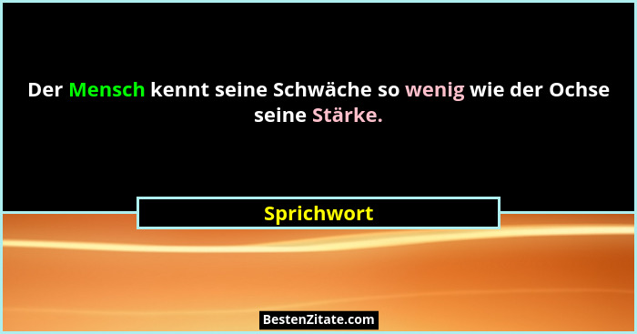 Der Mensch kennt seine Schwäche so wenig wie der Ochse seine Stärke.... - Sprichwort