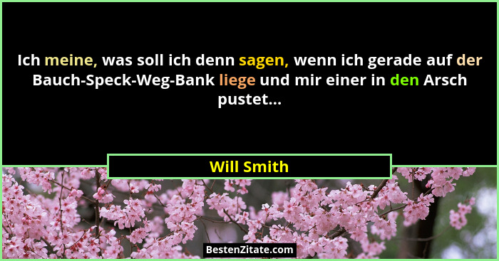 Ich meine, was soll ich denn sagen, wenn ich gerade auf der Bauch-Speck-Weg-Bank liege und mir einer in den Arsch pustet...... - Will Smith