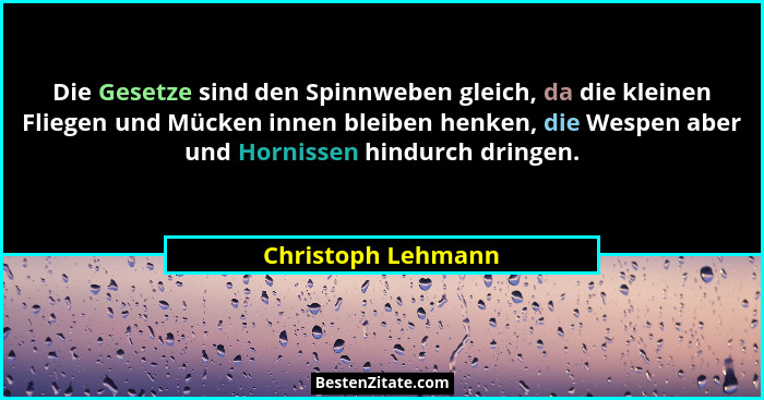 Die Gesetze sind den Spinnweben gleich, da die kleinen Fliegen und Mücken innen bleiben henken, die Wespen aber und Hornissen hind... - Christoph Lehmann