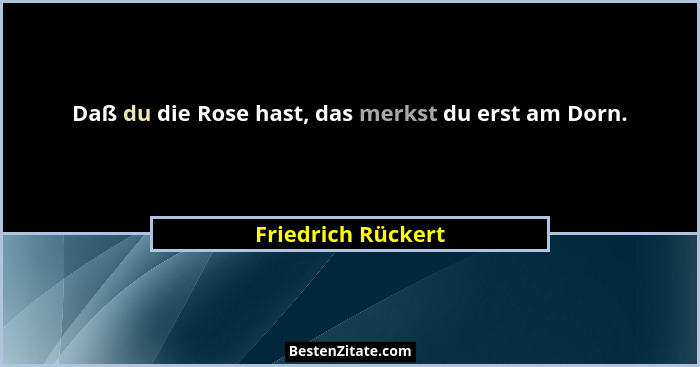 Daß du die Rose hast, das merkst du erst am Dorn.... - Friedrich Rückert