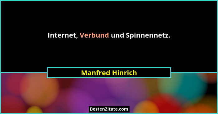 Internet, Verbund und Spinnennetz.... - Manfred Hinrich
