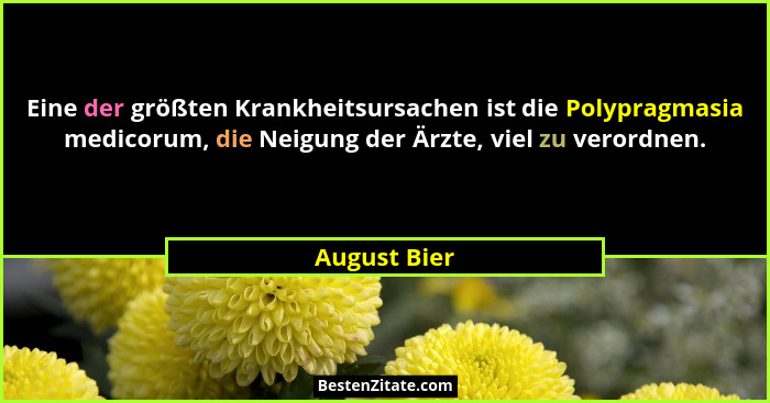 Eine der größten Krankheitsursachen ist die Polypragmasia medicorum, die Neigung der Ärzte, viel zu verordnen.... - August Bier