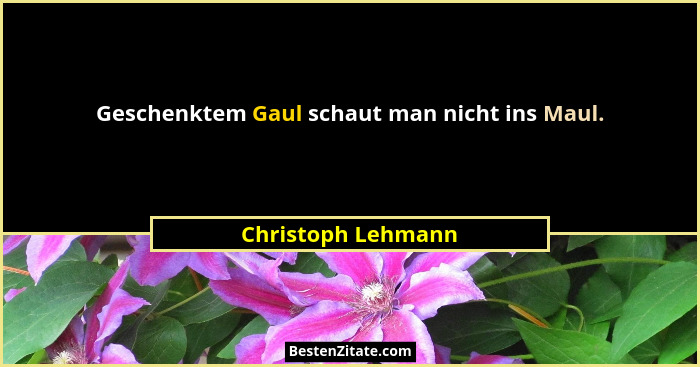 Geschenktem Gaul schaut man nicht ins Maul.... - Christoph Lehmann