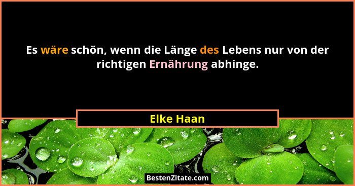 Es wäre schön, wenn die Länge des Lebens nur von der richtigen Ernährung abhinge.... - Elke Haan