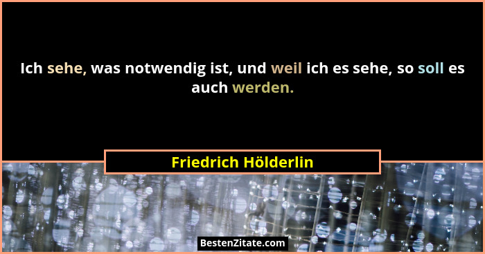 Ich sehe, was notwendig ist, und weil ich es sehe, so soll es auch werden.... - Friedrich Hölderlin