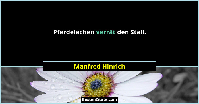 Pferdelachen verrät den Stall.... - Manfred Hinrich
