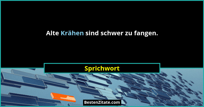 Alte Krähen sind schwer zu fangen.... - Sprichwort