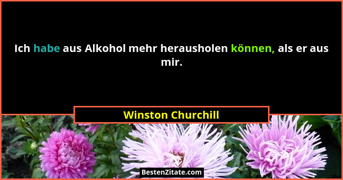 Ich habe aus Alkohol mehr herausholen können, als er aus mir.... - Winston Churchill