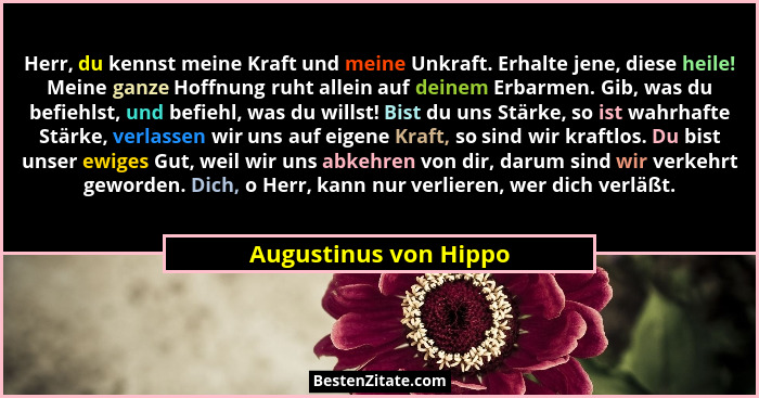 Herr, du kennst meine Kraft und meine Unkraft. Erhalte jene, diese heile! Meine ganze Hoffnung ruht allein auf deinem Erbarmen.... - Augustinus von Hippo