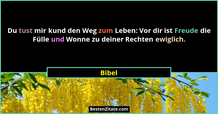 Du tust mir kund den Weg zum Leben: Vor dir ist Freude die Fülle und Wonne zu deiner Rechten ewiglich.... - Bibel