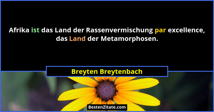 Afrika ist das Land der Rassenvermischung par excellence, das Land der Metamorphosen.... - Breyten Breytenbach