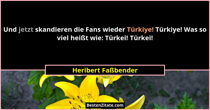 Und jetzt skandieren die Fans wieder Türkiye! Türkiye! Was so viel heißt wie: Türkei! Türkei!... - Heribert Faßbender