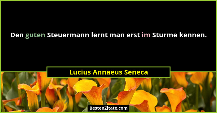 Den guten Steuermann lernt man erst im Sturme kennen.... - Lucius Annaeus Seneca