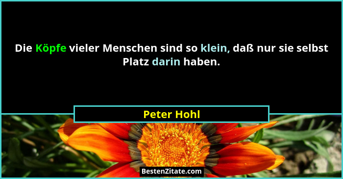 Die Köpfe vieler Menschen sind so klein, daß nur sie selbst Platz darin haben.... - Peter Hohl