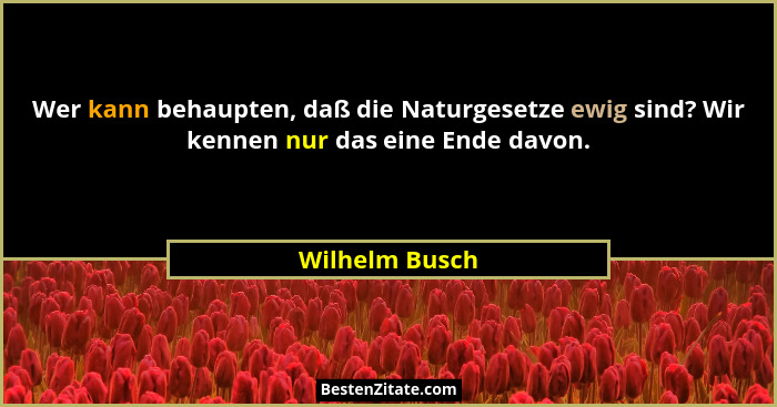 Wer kann behaupten, daß die Naturgesetze ewig sind? Wir kennen nur das eine Ende davon.... - Wilhelm Busch