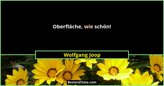Oberfläche, wie schön!... - Wolfgang Joop