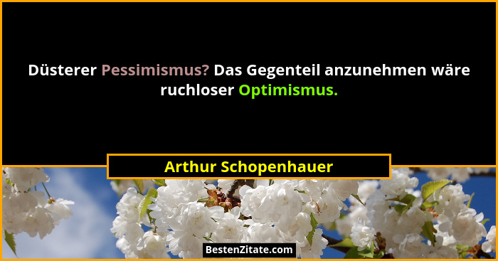 Düsterer Pessimismus? Das Gegenteil anzunehmen wäre ruchloser Optimismus.... - Arthur Schopenhauer