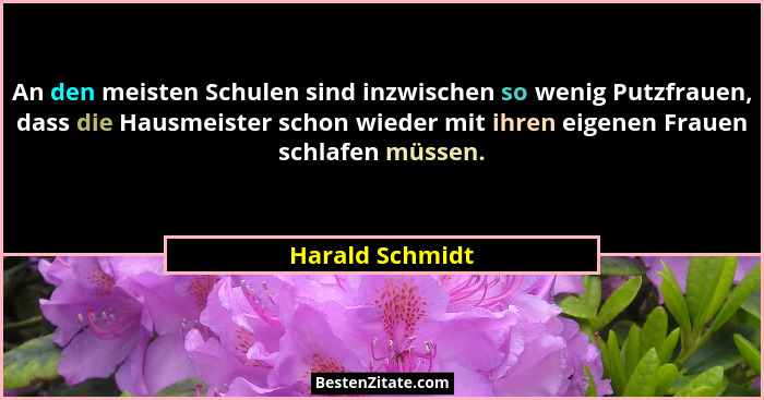 An den meisten Schulen sind inzwischen so wenig Putzfrauen, dass die Hausmeister schon wieder mit ihren eigenen Frauen schlafen müsse... - Harald Schmidt