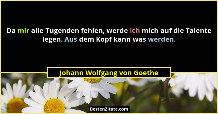 Da mir alle Tugenden fehlen, werde ich mich auf die Talente legen. Aus dem Kopf kann was werden.... - Johann Wolfgang von Goethe