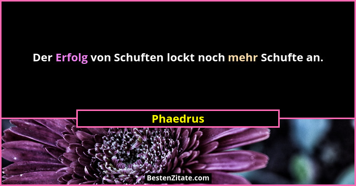 Der Erfolg von Schuften lockt noch mehr Schufte an.... - Phaedrus
