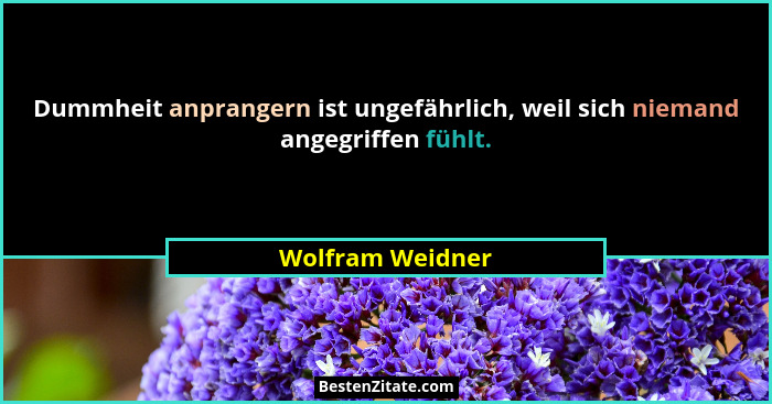 Dummheit anprangern ist ungefährlich, weil sich niemand angegriffen fühlt.... - Wolfram Weidner