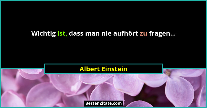 Wichtig ist, dass man nie aufhört zu fragen...... - Albert Einstein