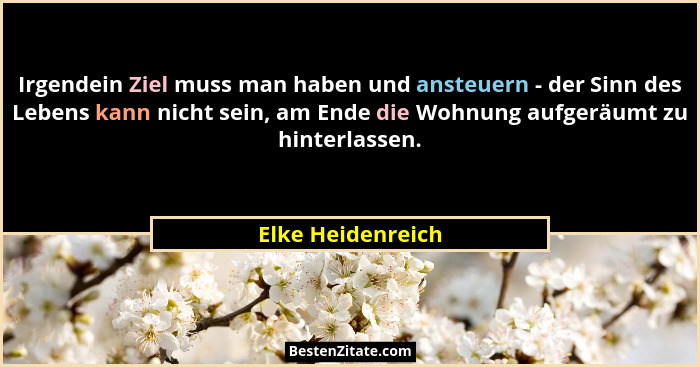 Irgendein Ziel muss man haben und ansteuern - der Sinn des Lebens kann nicht sein, am Ende die Wohnung aufgeräumt zu hinterlassen.... - Elke Heidenreich