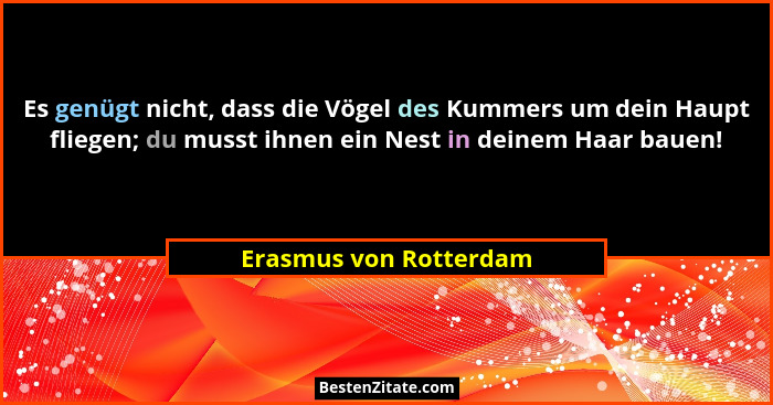 Es genügt nicht, dass die Vögel des Kummers um dein Haupt fliegen; du musst ihnen ein Nest in deinem Haar bauen!... - Erasmus von Rotterdam