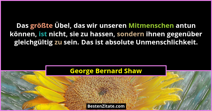Das größte Übel, das wir unseren Mitmenschen antun können, ist nicht, sie zu hassen, sondern ihnen gegenüber gleichgültig zu sei... - George Bernard Shaw