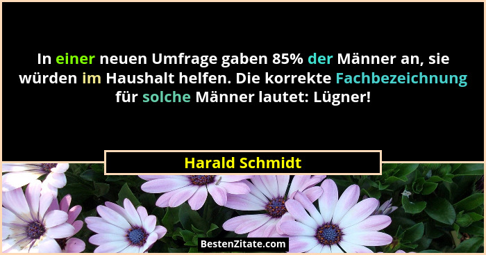 In einer neuen Umfrage gaben 85% der Männer an, sie würden im Haushalt helfen. Die korrekte Fachbezeichnung für solche Männer lautet:... - Harald Schmidt