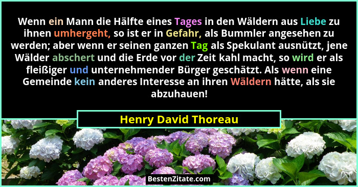 Wenn ein Mann die Hälfte eines Tages in den Wäldern aus Liebe zu ihnen umhergeht, so ist er in Gefahr, als Bummler angesehen zu... - Henry David Thoreau