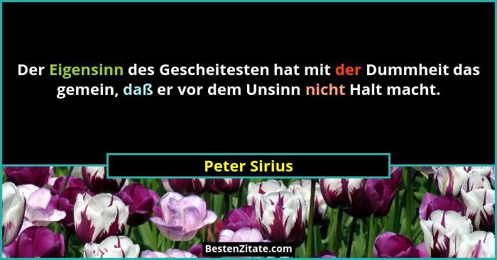 Der Eigensinn des Gescheitesten hat mit der Dummheit das gemein, daß er vor dem Unsinn nicht Halt macht.... - Peter Sirius