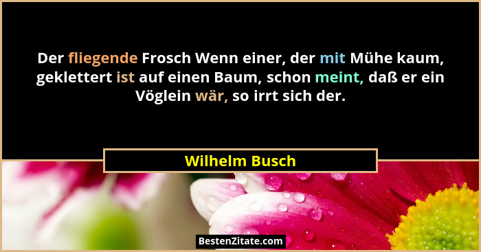 Der fliegende Frosch Wenn einer, der mit Mühe kaum, geklettert ist auf einen Baum, schon meint, daß er ein Vöglein wär, so irrt sich d... - Wilhelm Busch